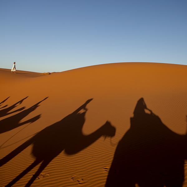 Morocco - Sahara  - 2011